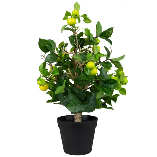 Northlight Bonsai Style Artificial Mini Apple Tree in Pot - 23" Green {4}