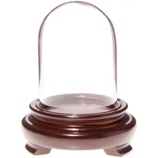 Plymor 1.85" x 2.875" Mini Glass Display Dome Cloche Walnut Wood Veneer {1}