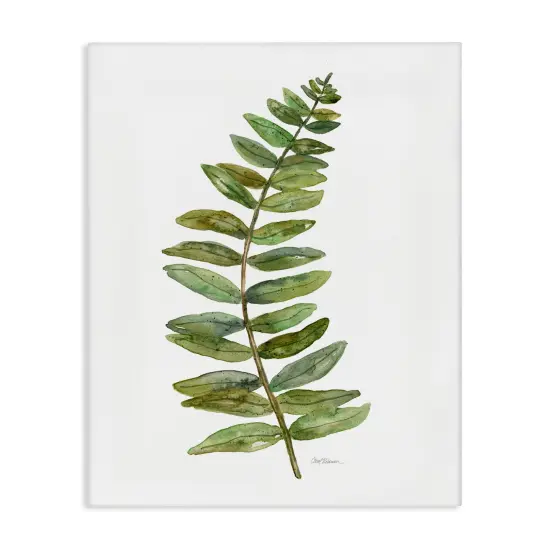 Stupell Industries Curved Fern Branch Canvas By Carol Robinson {1}