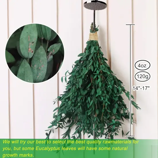 20+ Small Branches Dried Eucalyptus Preserved Greenery Stems, 7-14 Pcs 17'' 4oz Natural Real Eucalyptus Bundles for Shower, Green Leaves Plant for Arrangement, Wedding, Home, Office Decor {5}
