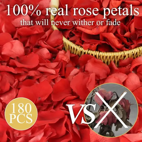 200Pcs Dried Real Red Rose Petals, Preserved Flower Petals 1.75oz for Gifts Wedding Party Decor, Flower Girl, Dinner Table Centerpieces, Bridal Shower {4}
