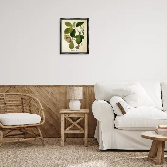 Stupell Industries Vintage Avocado Plant Floating Frame Design by Lil' Rue {2}