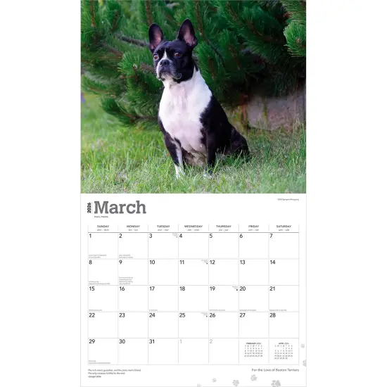For the Love of Boston Terriers | 2026 14 x 24 Inch (Hanging) Monthly Deluxe Wall Calendar | Foil Stamped Cover | Plastic-Free {3}