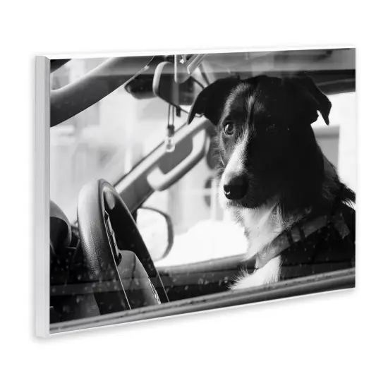 Stupell Industries Taxi Driver Dog Wall Plaque By LSR Creative Studio {3}