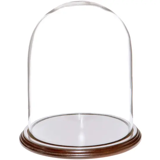 Plymor 8" x 10.25" Glass Display Dome Cloche Dark Mahogany Veneer {1}