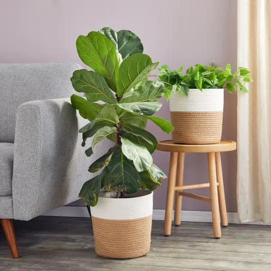 2 Pack Decorative Jute Planter with Plastic Liner, Woven Basket for Plants, Floor, Storage (11 In) Brown {3}