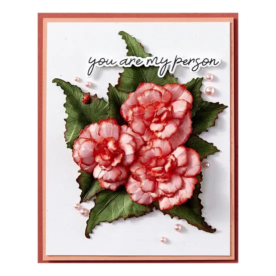 Spellbinders Etched Dies By Susan Tierney-Cockburn-Begonia And Ladybugs {3}