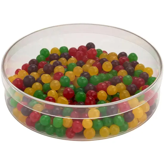 Pioneer Plastics 175C Clear Round Plastic Container, 6" W x 1.5" H {3}