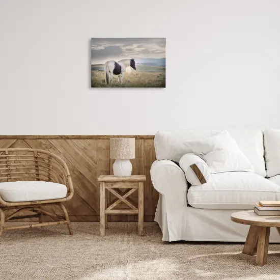 Stupell Industries Spotted Horse on Sunny Terrain Canvas By PHBurchett {8}