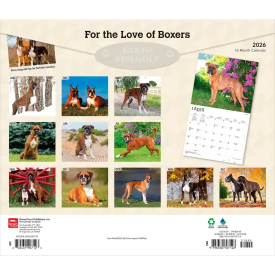 For the Love of Boxers | 2026 14 x 24 Inch (Hanging) Monthly Deluxe Wall Calendar | Foil Stamped Cover | Plastic-Free {2}