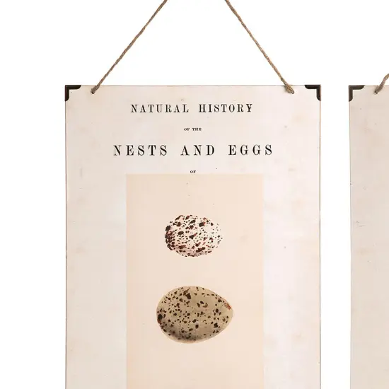 British Eggs Easter Spring Wall Art Set of 3 {3}