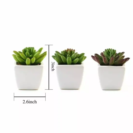 Set of 3 4" tall Assorted Faux Crassula Succulent Plants with Off White Pots {4}