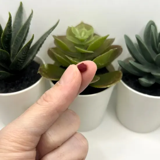 1 or 4 Strands 6x6mm Opaque Red Bicone Beads, Imitation Crystal, Grade AA {2}