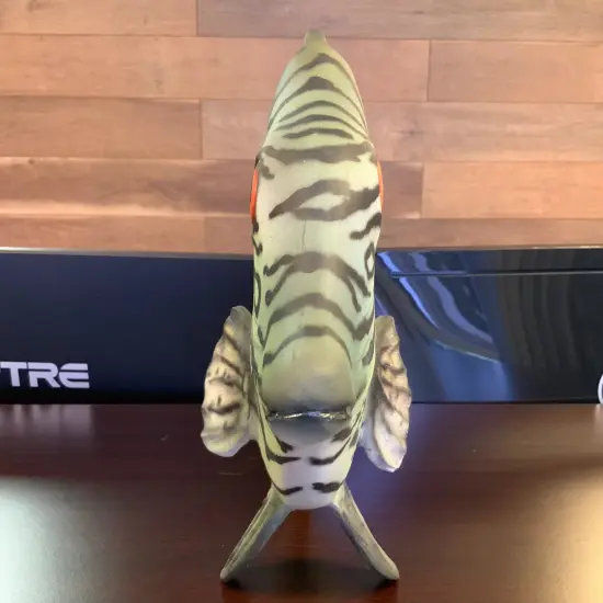 Discus Fish Statue {5}