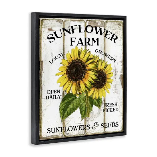 Stupell Industries Antique Sunflower Farm Seeds Floater Framed Canvas Wall Art Design by Creatif Belle {9}