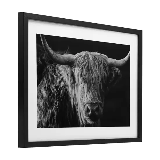 Stupell Industries Scottish Highland Portrait Framed Print Under Glass, design by Crystal Lynn Collins {9}