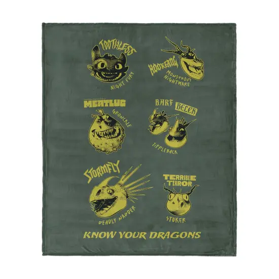 Universal How to Train Your Dragon Silk Touch Throw Blanket Know Your Dragons {8}