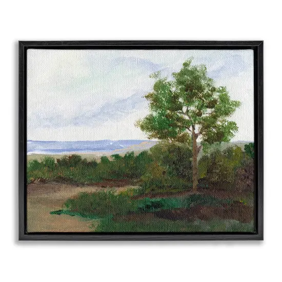 Stupell Industries Summer Evening Landscape Floater Framed Canvas Wall Art Design by Nikita Jariwala {1}