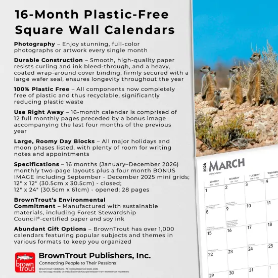 Meerkats | 2026 12 x 24 Inch (Hanging) Monthly Square Wall Calendar | Plastic-Free {6}