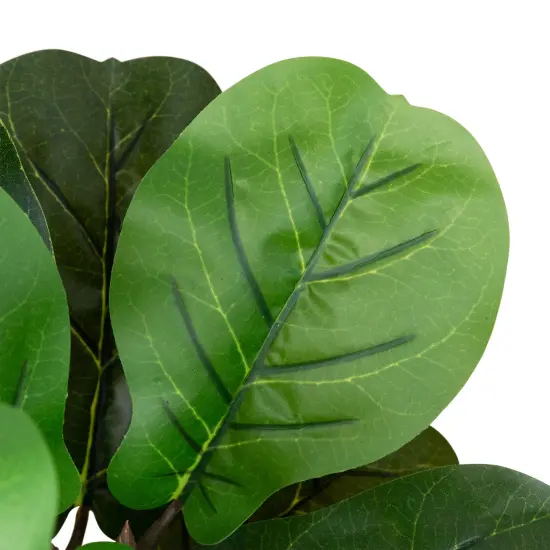 Northlight Two-Tone Fiddle Leaf Fig Artificial Potted Plant - 26" - Green {6}