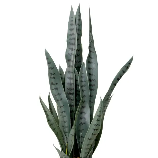 Northlight Real Touch™️ Artificial Two Tone Potted Snake Plant - 29" Green {4}
