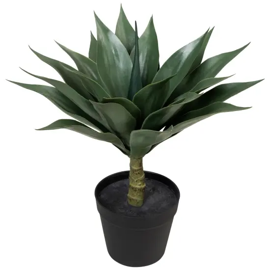 Northlight Potted Artificial Agave Plant - 18" Green {3}