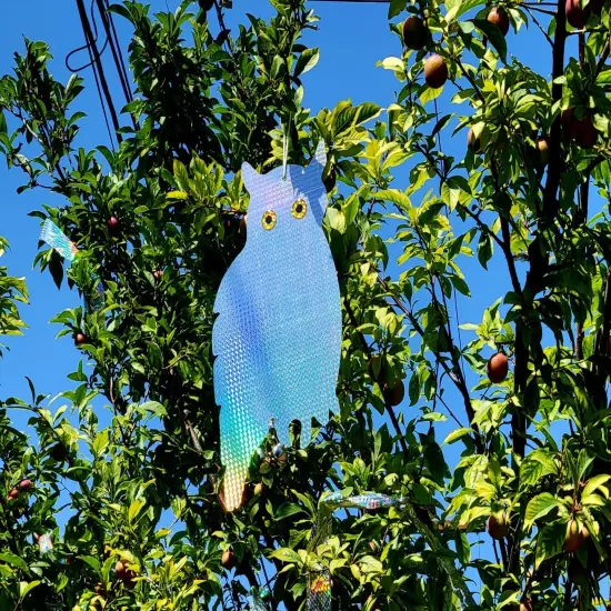 2 Pack Hanging Reflective Owl to Scare Birds Away Bird Blinder Bird Scare Devices Woodpecker, Swallow, Hawks, Crows, Pigeons and Birds {2}