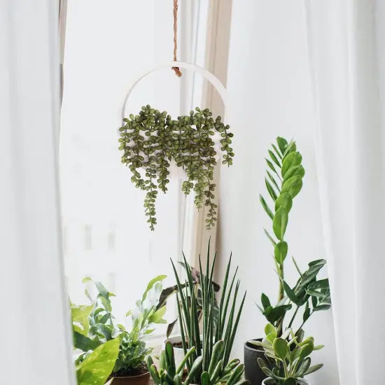 Artificial Hanging String of Pearls &ndash; Lifelike Greenery for Indoor & Outdoor D&eacute;cor {4}