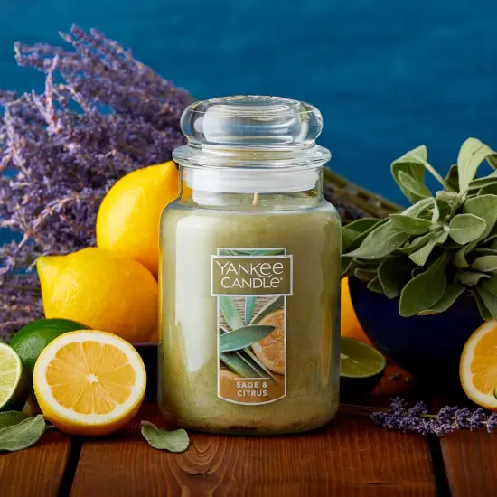 Sage & Citrus Scented, Classic 22oz Large Jar Single Wick Candle, Over 110 Hours of Burn Time, Ideal for Home Decor and Gifts {2}