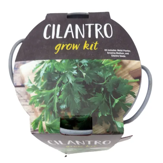 Cilantro Grow Kit - Metal Planter {3}