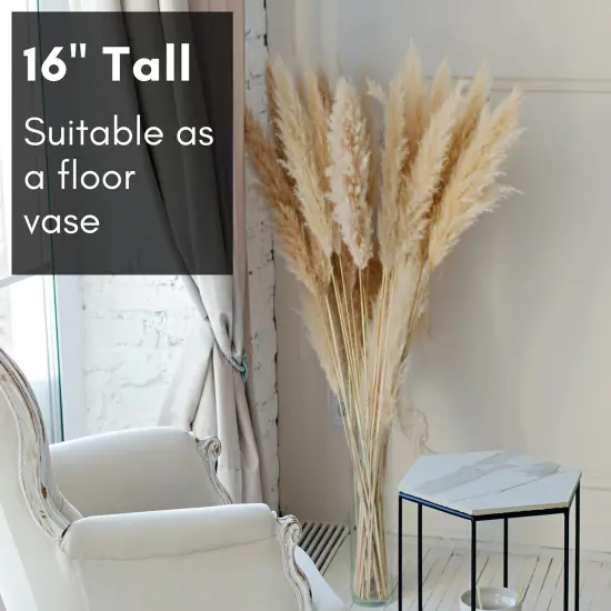 4E's Novelty 16" Cylinder Glass Vase &ndash; Elegant Clear Glass Vase for Flowers, Candles & Decor. Perfect Cylinder Vase! {6}