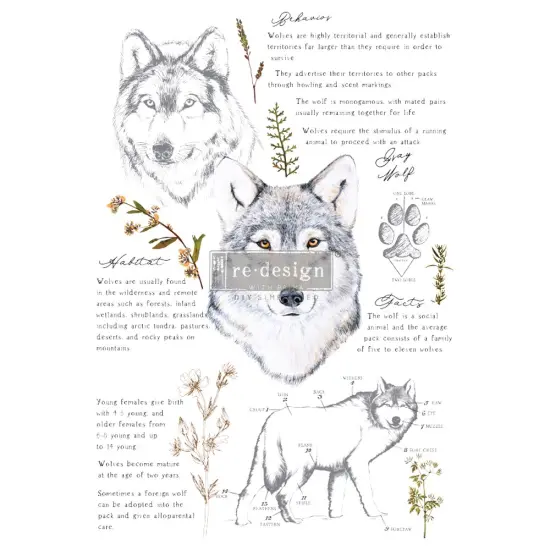 24 RedesignDecorTransfers&reg;-GrayWolf-totalsheetsize24inx35in,cutinto3sheets rub-ons {1}