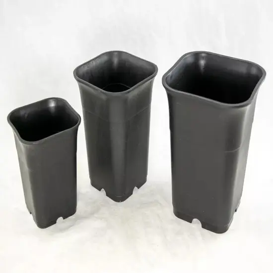 3 Mix Square Plastic Cascade Bonsai Pot, Succulent, Orchid Planter 3.25" - 4.75" {4}