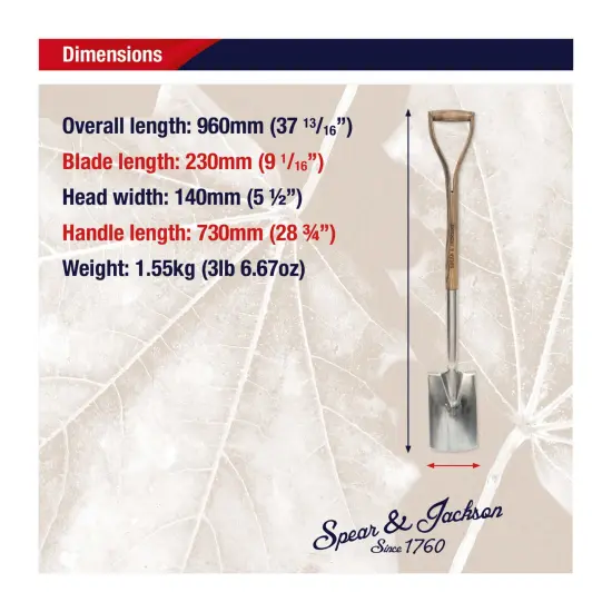 Spear & Jackson Traditional Stainless Border Spade, Mirror-Polished Stainless Steel Head, Weatherproofed Hardwood Shaft, Ergonomic Wishbone Handle {7}