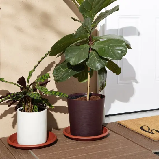 8-Pack Round Plastic Plant Saucer Drip Trays, Terracotta Flower Pot Saucers, Dish for Indoors, Outdoors, Garden, Potted Plants, Home, Patio, Tabletop Planter Base, Terra Cotta Plate Set (12-inch) Brown {6}