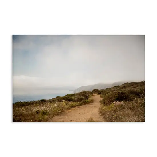 Stupell Industries Wild Coast Pathway Canvas Wall Art Design by Crystal Lynn Collins {1}