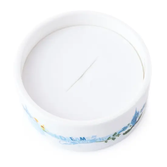 Disney English Ladies: Cinderella Slipper Mini Treasure Box {4}