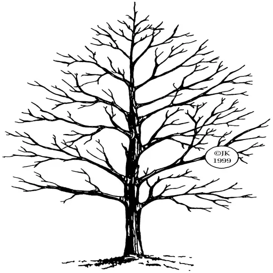 Judikins Rubber Stamp 4"X2.75"-Winter Tree {3}