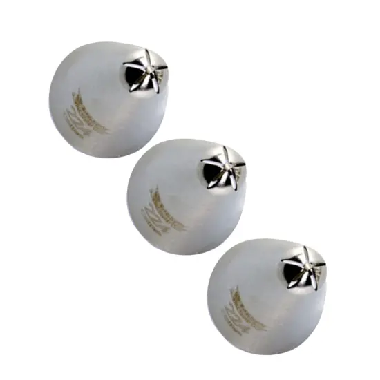 SS Decor Drop Flower Decorating Tip {6}