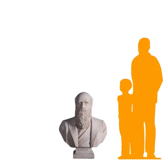 Darwin Stone Bust Life Size Statue {2}
