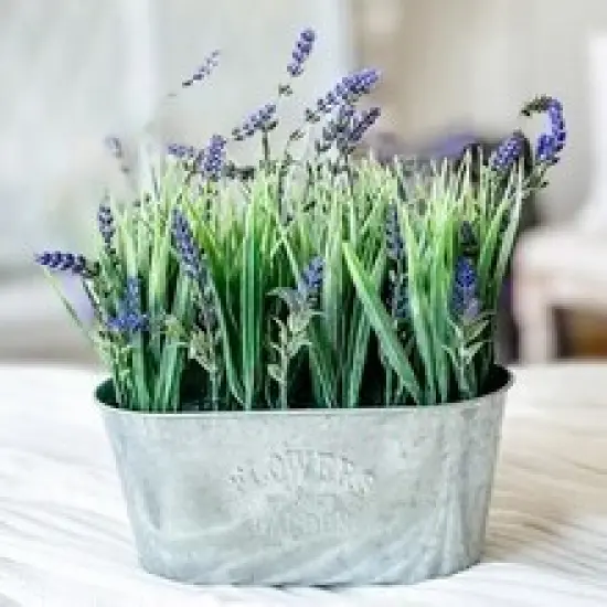 Haute Decor 10 Inch Lavender in Galvanized Metal Pot {3}