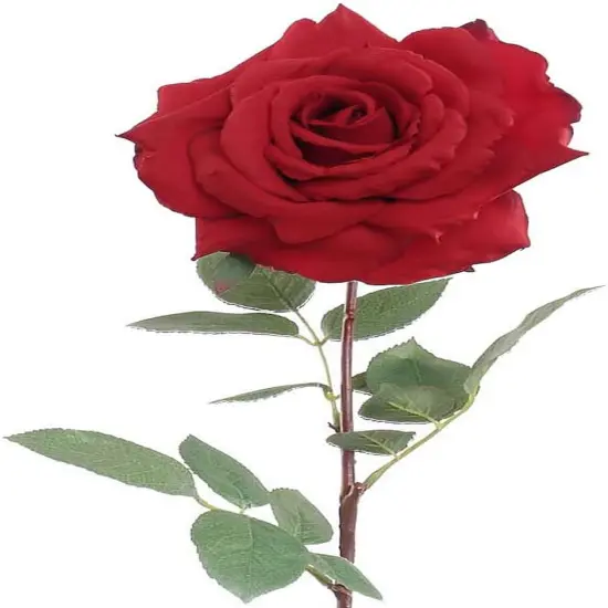 Crimson Charm: 6-Pack of 30" Silk Red Queen Anne Rose Stems with Realistic Foliage and Stem - Perfect for Valentine's Day, Weddings, and DIY Floral Arrangements {1}