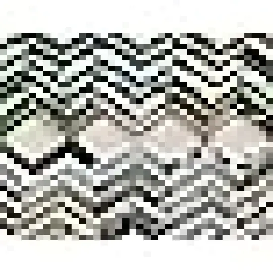 Sewing Fabric Bundle for Patchwork and Crafts {2}