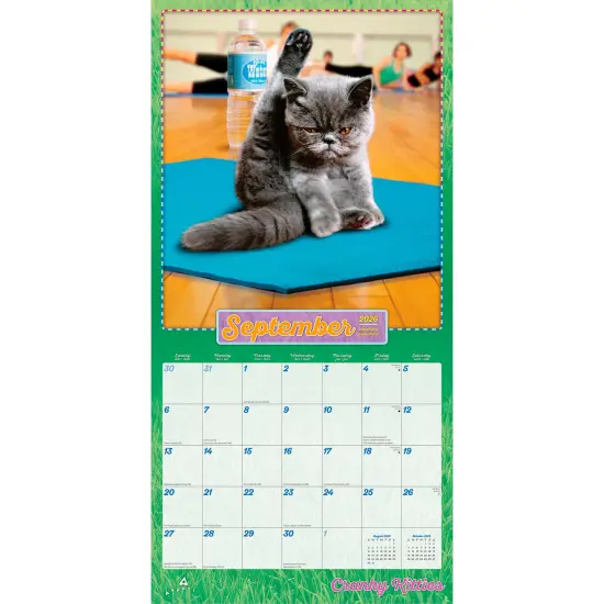 Avanti Cranky Kitties OFFICIAL | 2026 12 x 24 Inch (Hanging) Monthly Square Wall Calendar {4}