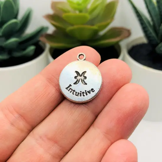Silver Pisces Zodiac/Astrology Coin Charms, 17x20mm {3}