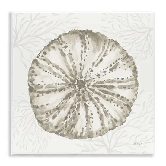 Stupell Industries Sea Urchin & Neutral Coral Wall Plaque By Yvette St. Amant {1}