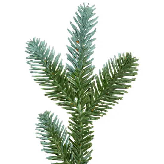 Northlight Pre-Lit Artificial Blue Spruce Christmas Wreath - 48" - Clear Green {6}