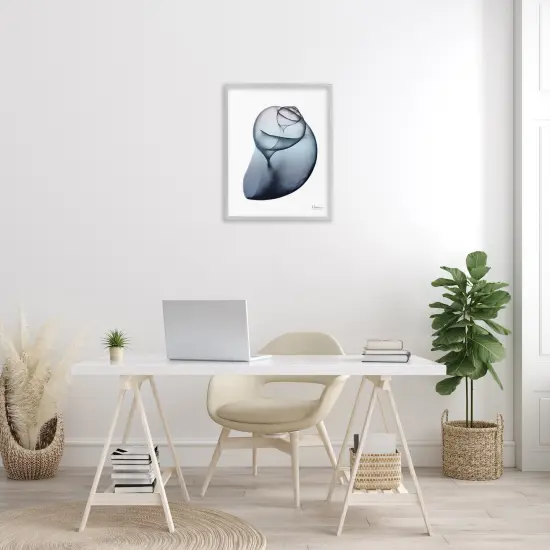 Stupell Industries Contemporary Snail Shell Framed Giclee Art Gray Frame {2}