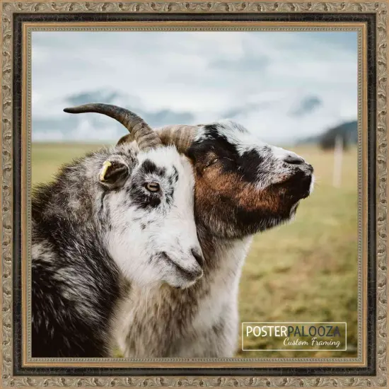 Square Classic Gold Picture Frame - UV Acrylic, Foam Board Backing, Hanging Hardware {1}