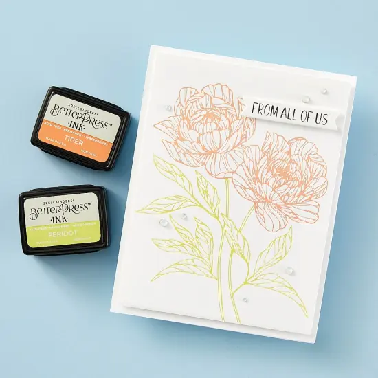 Spellbinders BetterPress Press Plate & Die Set-Cheers To You Sentiments {5}